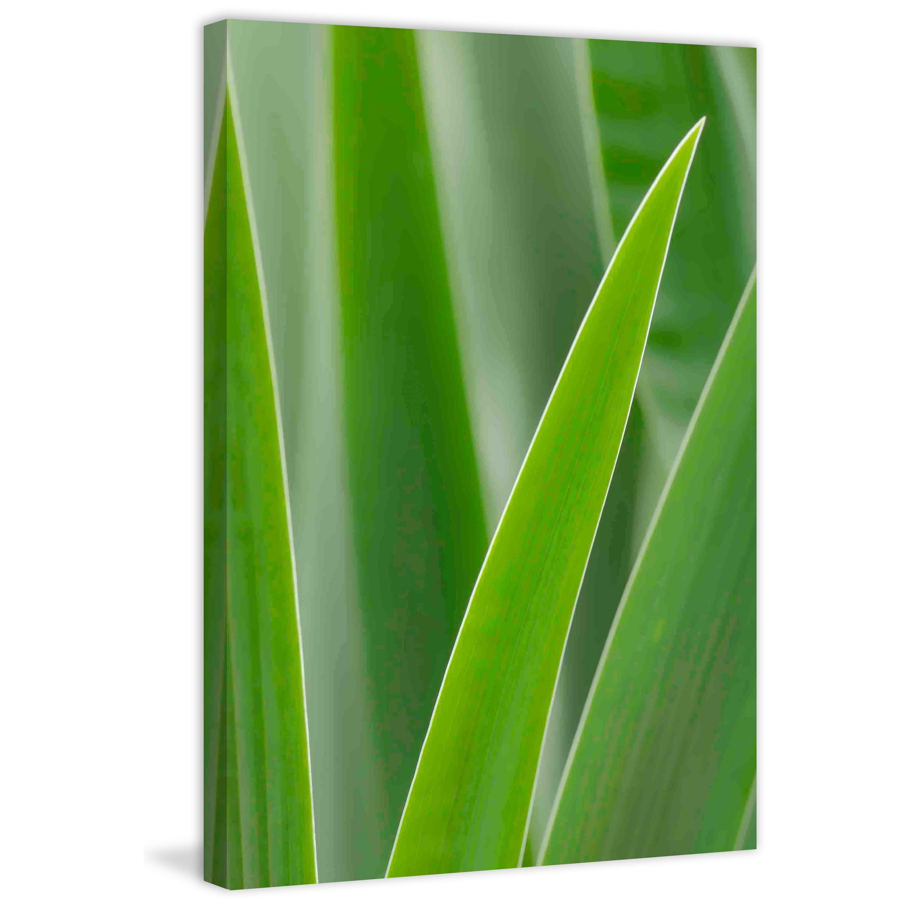 Marmont Hill "Blades of Green" Painting Print on Canvas