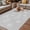 Gray, variant on Blue Dandelion Outdoor Rug for Patio/Deck/Porch, Non-Slip Large Area Rug 3 x 5 Ft, Spring Modern Minimalist Country Flower Indoor Outdoor Rugs Washable Area Rugs, Reversible Camping Rug Carpet Runner