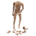 thumbnail image 2 of Figura masculina desnuda, musculosa, articulada, con 28 articulaciones móviles, escala 1:6, de 30 cm. Trigo, 2 of 5