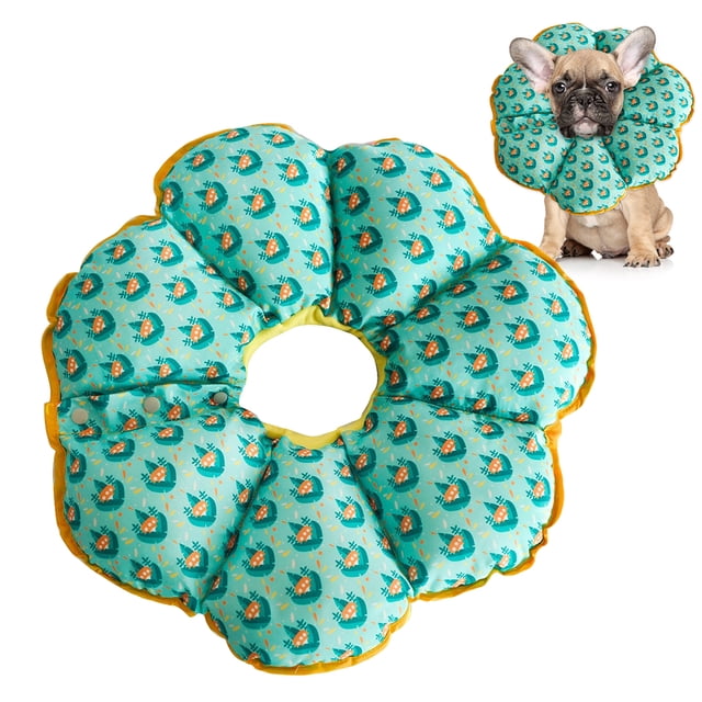 Collier de Récupération pour Animaux Collier Protecteur Créatif en Forme de Fleur Collier pour Chat