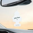 thumbnail image 4 of LITTLE TREES air freshener True North 3-Pack, 4 of 8