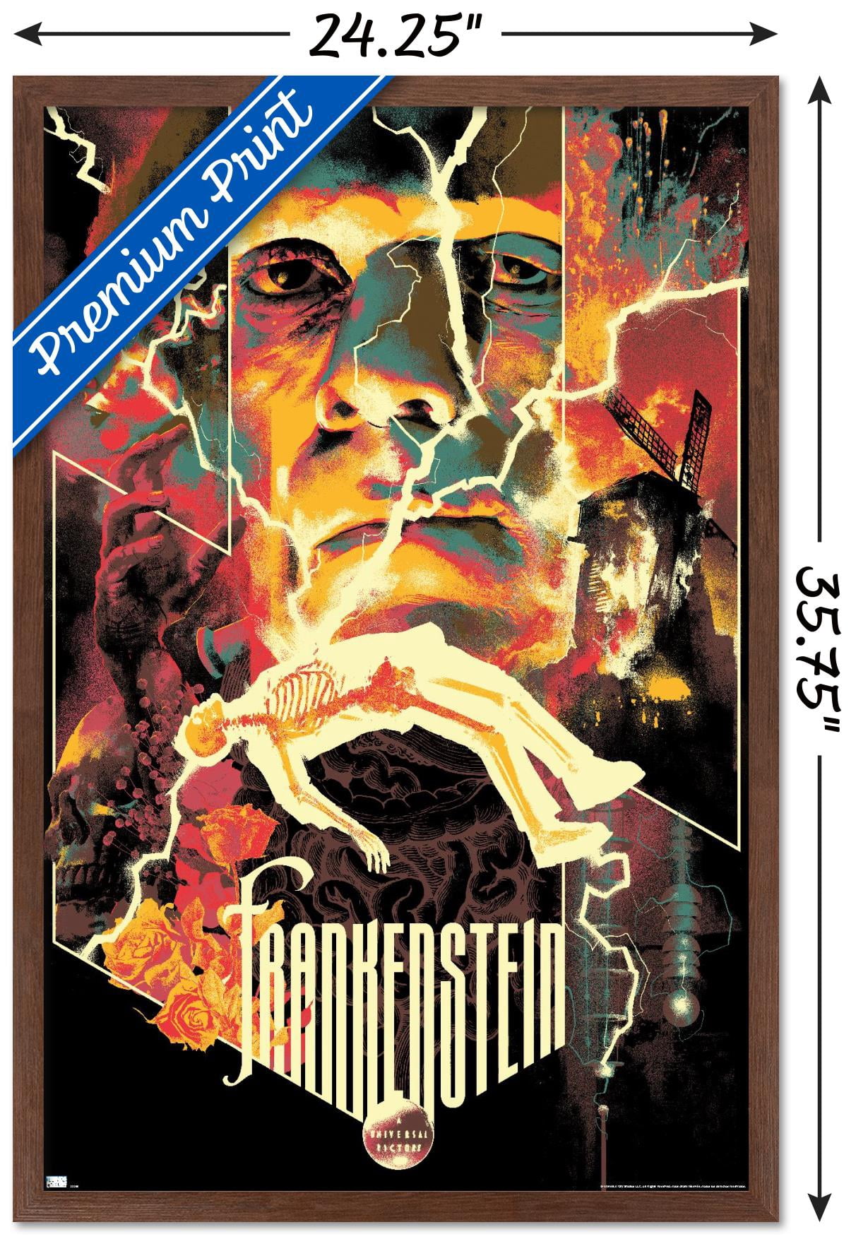 Frankenstein - Collage Wall Poster, 22.375" x 34" Framed