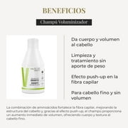 Salerm Cosmetics Hair Lab Volumizing Shampoo - 10.6 oz
