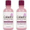 Caladryl Pink Skin Protectant Lotion Calamine + Itch Reliever 6 Fl Oz - 2 Pack