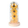 thumbnail image 1 of Lámpara Girasol seco en cúpula de cristal con luz nocturna de hilo amarillo cálido (amarillo) Ehuebsd Para estrenar, 1 of 8