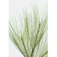 thumbnail image 5 of Long Needle Pine Spray, 5 of 13
