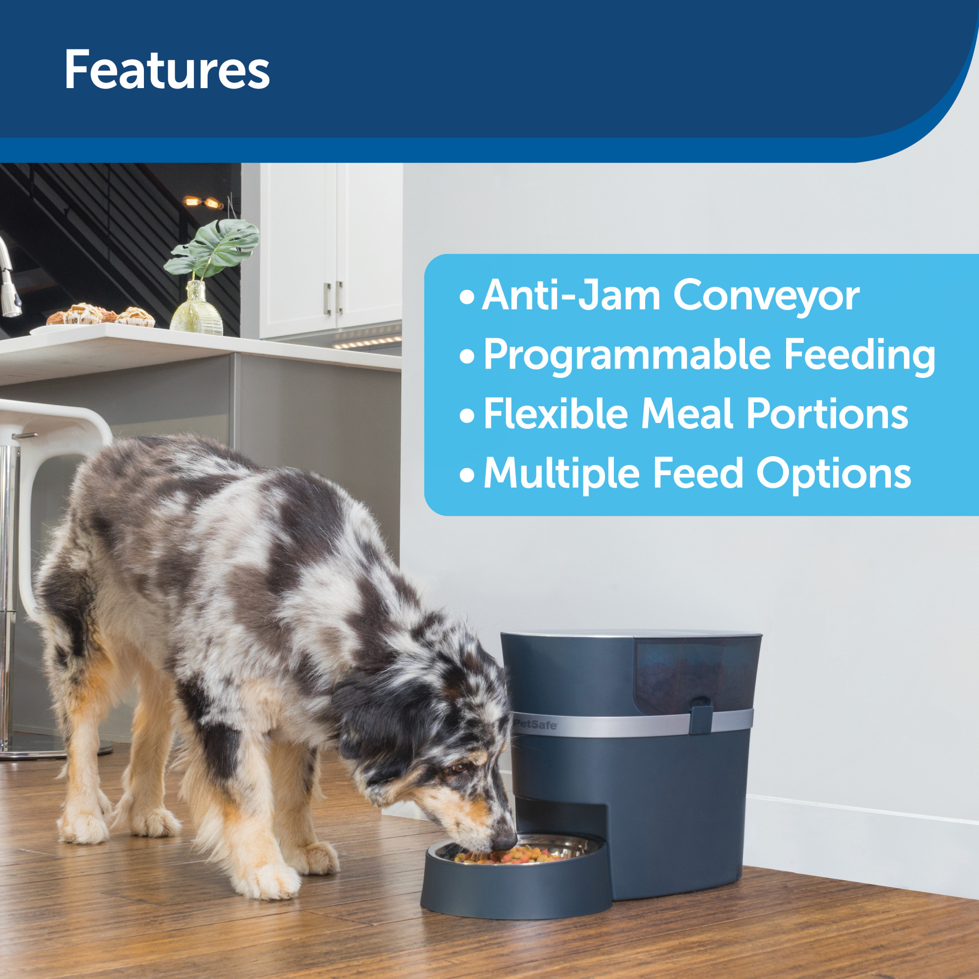 petsafe smart feeder