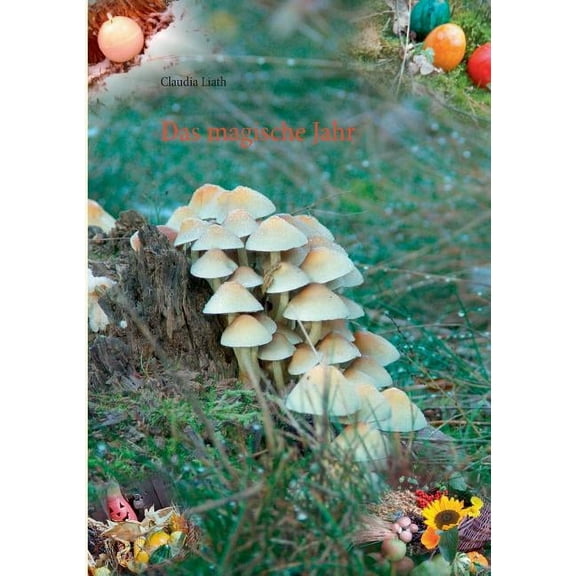 Das magische Jahr, (Paperback)