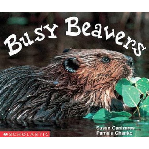 Pre-Owned Busy Beavers (Emergent Readers) (Paperback) 0590761706 9780590761703