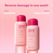 Coco & Eve Sweet Repair Repairing & Restoring Shampoo - 9.47oz