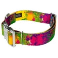 thumbnail image 3 of Country Brook Petz® 1 1/2 inch Premium Paint Splatter Dog Collar, Large, 3 of 5