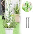 thumbnail image 2 of Support Gold Climbing Clips Clips For Climbing Indoor Support Monstera Leaf Growth Accessories For A Lover Checke Hair Clip Wide Paper Clips Paper Clips Small Bulk Mini Paper Clips Smaller Clips, 2 of 4