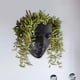 thumbnail image 4 of Macetas decorativas creativas para pared, macetas con forma de cara para interiores. Negro, 4 of 9