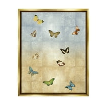 Various Butterfly Insect Pattern Animals & Insects Graphic Art Metallic Gold Framed Art Print Wall Art