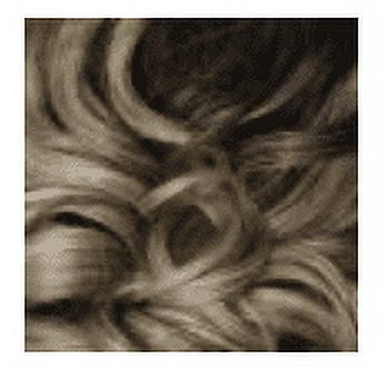 Zury Sis Human Hair Blend 13"x 4" Free Part Lace Front Wig PM-FP Lace Kama, Color FFT HONEY BL