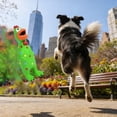 thumbnail image 6 of Rubber Squeaky Chicken Dog Toys Latex Screaming Chicken Dog Toy Bulk for Aggressive Chewers Charming Durable Chicken Dog Toy Molar Dog Toys for Small Medium Large Dogs, 6 of 6