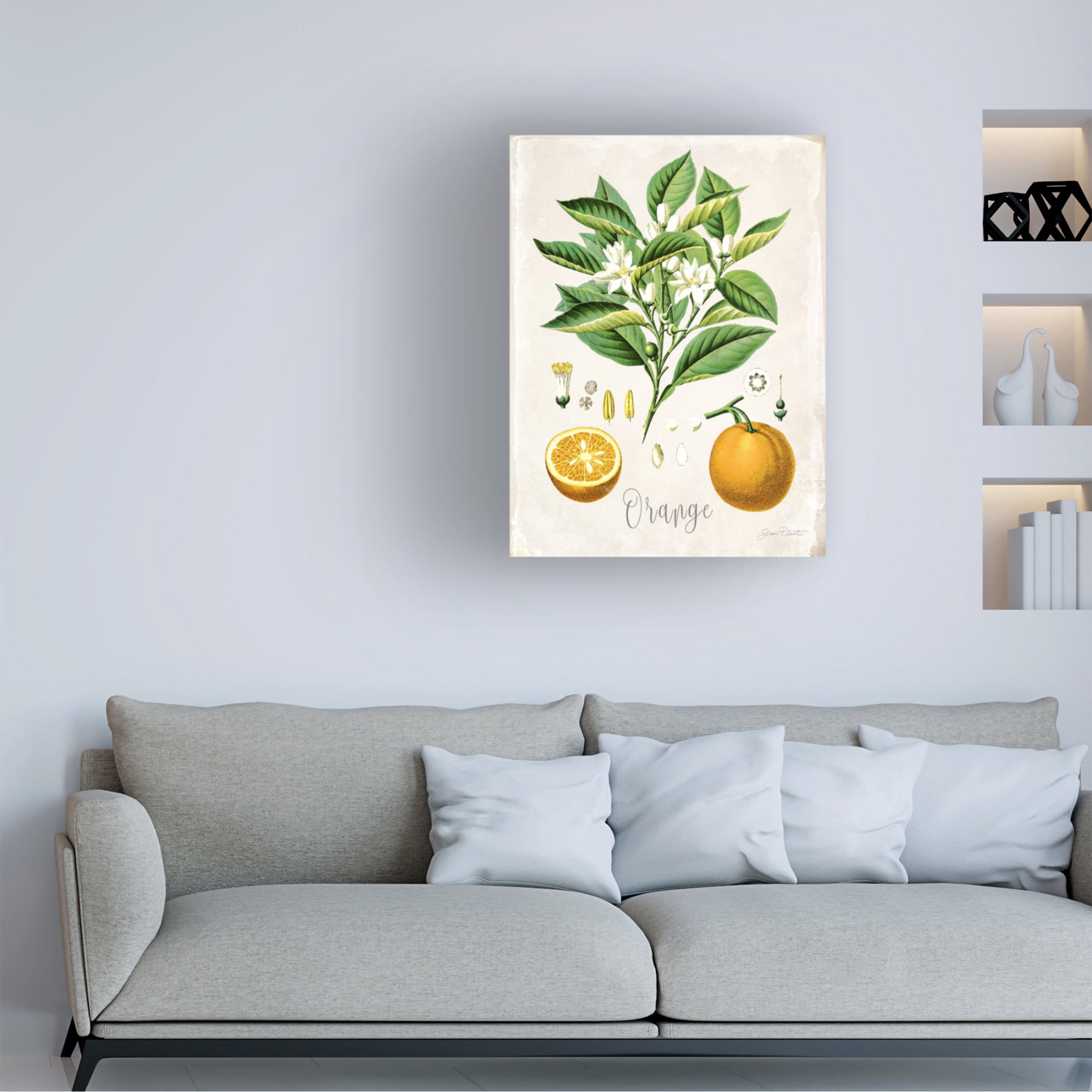 Canvas Wall Art - Jean Plout 'Vintage Citrus Fruit Study B' Wall Art for Living Room, Bedroom, or Office Décor by Trademark Fine Art - 14 x 19 Inches