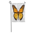 thumbnail image 1 of POGLIP Monarch Butterfly Open Wings in Top View As Flying Migratory Insect Butterflies That Represents Summer Garden Flag Decorative Flag House Banner 12x18 inch, 1 of 2