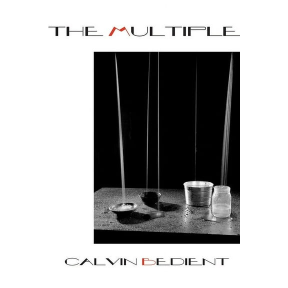 The Multiple (Paperback)