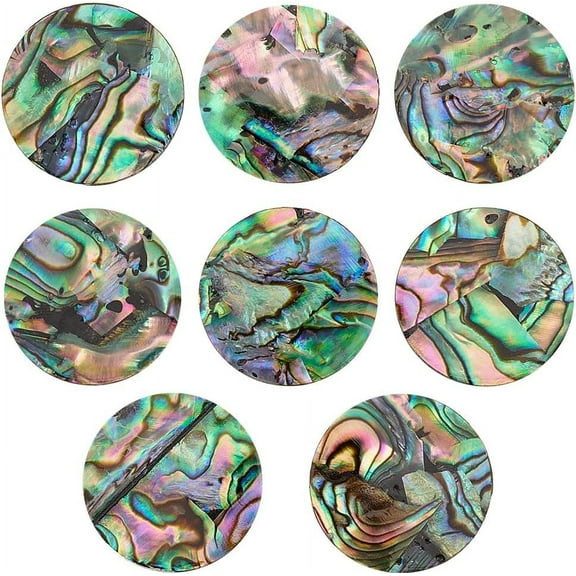 1 Box 8Pcs Natural Abalone Shell/Paua Shell Cabochons Colorful Flat Round 19.5x1.6mm