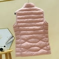 thumbnail image 4 of Women's Fall Quilted Puffer Vests Sleeveless Winter Zip up Lightweight Jacket Plus Size Outwear with Pockets New Plus Size Jackets for Women Pinky XXL, 4 of 5