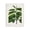 Vintage Botanical Fern, variant on Stupell Industries Victorian Two Ferns Nature Study Black Floating Frame Canvas Art, 17 x 21, by Susan Arnot