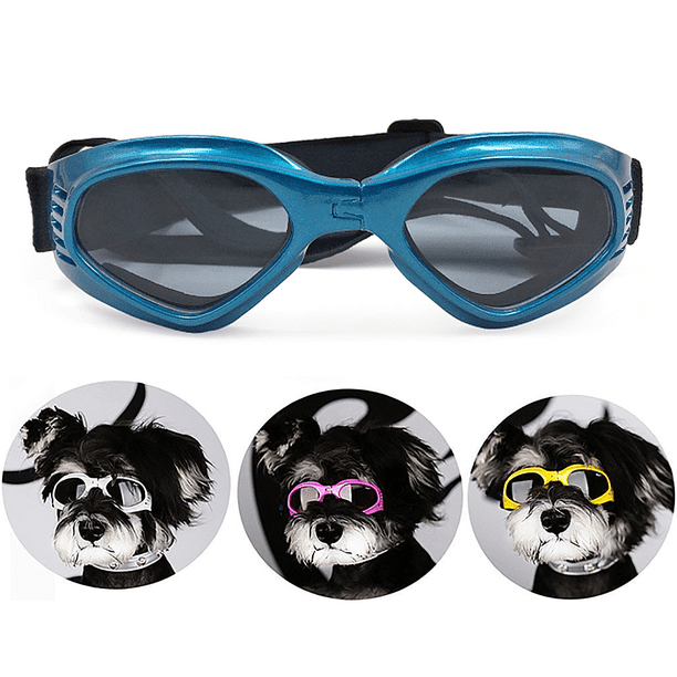 Gafas para mascotas Gafas para perros Gafas plegables para mascotas Azul