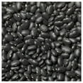 thumbnail image 3 of Everwilde Farms - 100 Black Turtle Dry Bean Seeds - Gold Vault Jumbo Bulk Seed Packet, 3 of 5