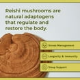 thumbnail image 6 of Naturealm Reishi Capsules - Organic, Gluten-Free, Vegan, 90 Count, 6 of 7