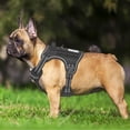 thumbnail image 2 of Arnés para perros Beebiepet Heavy Duty Tactical para perros medianos, 2 of 5