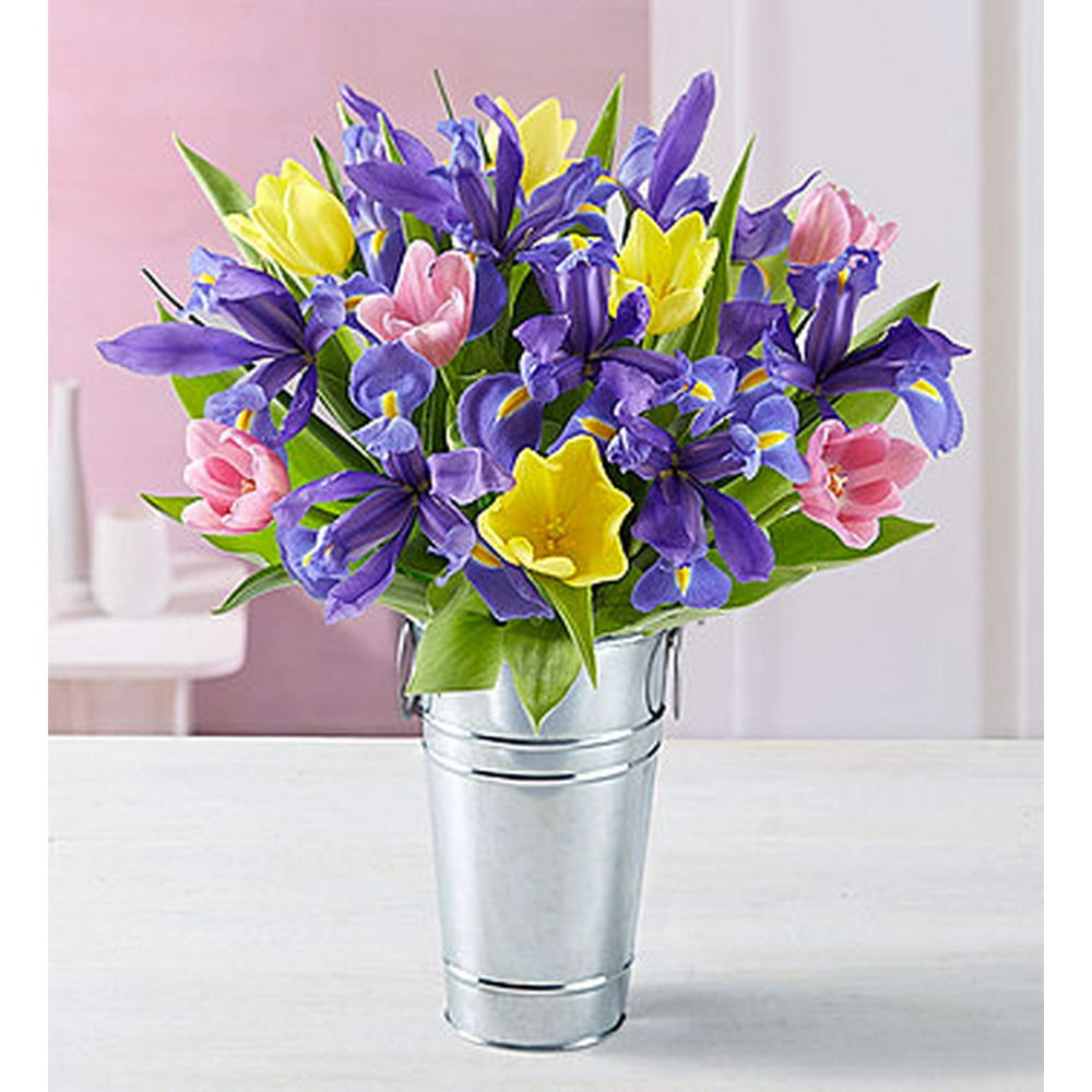 1-800-Flowers: Fresh Flowers - Fanciful Spring Tulip & Iris Bouquet ...