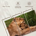 thumbnail image 6 of Elephant Stock Motherly Lioness Wall Art - Horizontal Multi Panel Canvas - Living Room Wall Decor - Animal Multi Panel - Beige And Brown Decor - 45" x 28", 6 of 8