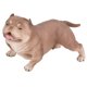 thumbnail image 1 of Juguetes de colección para perros, modelo de simulación de Bulldog, modelo de perro educativo, modelo de perro, decoración probada y confiable, 1 of 8