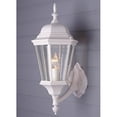 thumbnail image 2 of Trans Globe Lighting San Rafael 4250 Outdoor Wall Lantern, 2 of 2