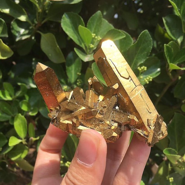 Especímenes de racimo de cristal de aura de cuarzo amarillo dorado natural de 70-80 g