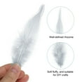 thumbnail image 3 of Uxcell 2.8''-5.5'' Saddle Hackle Rooster Feather Bulk Natural Feathers Fluffy Craft Feathers 100 Pcs Grey, 3 of 6