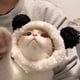thumbnail image 5 of Pet Cats Dog Costume Hat, Cute Cubby Shape Cozy Cats Headband Decorative Cap For Small Medium Cats And Dogs,, 5 of 6