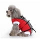 thumbnail image 3 of Ropa para mascotas, ropa para perros, ropa de esterilización, ropa de rehabilitación para perros, ropa de protección contra lesiones para mascotas, artículos para mascotas (rojo, s) Rojo Verde, 3 of 5