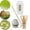 Matt White, variant on Traditional Japanese Matcha Set Traditional Matcha Whisk for Tea Room Light Green
