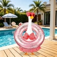 thumbnail image 2 of Bikini Goose Outfit for 23 Inch Lawn Goose – Summer Pool Party Porch and Garden Decoration with Dress, Bow, Glasses and Swim, 2 of 6