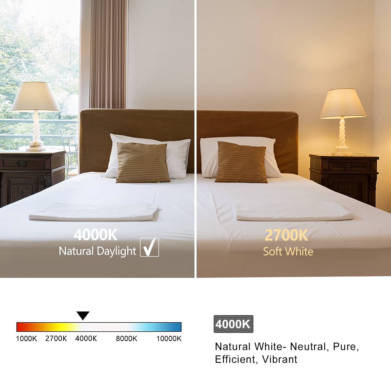Austin Coast 12-Pack ST58 LED Bulbs, 6W (60W Equivalent), Warm White 2700K, E26 Base, Dimmable, 800 Lumens, Shatterproof