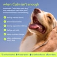 thumbnail image 5 of Native Pet Anxiety & Stress Support Chew Supplement for Dogs, 60 count, 5 of 7