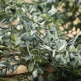 thumbnail image 2 of Sullivans Artificial Blue Boxwood Garland 72"L Green, 2 of 4