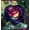 B, variant on Hybrid Perennial - Rose Roots Planting - Low Maintenance - Ideal for Garden Borders, Plant Hangers