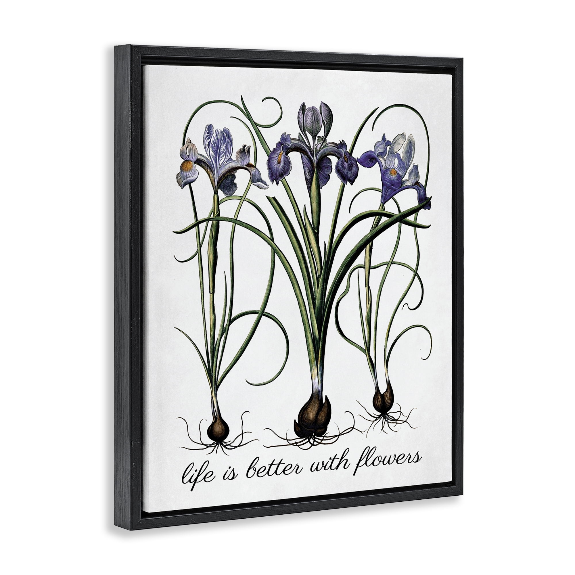 Stupell Industries Better With Flowers Botanical & Floral Painting Black Floater Framed Art Print Wall Art, 25 x 31