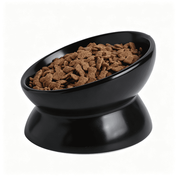 NORIZF Elevated Ceramic Cat Bowl,15° Tilted Raised Food&Water Dishes,Anti-Vomiting&Neck Protection Pet Feeder for Kittens,Small Dogs (5.2",Black,1Pc Set)