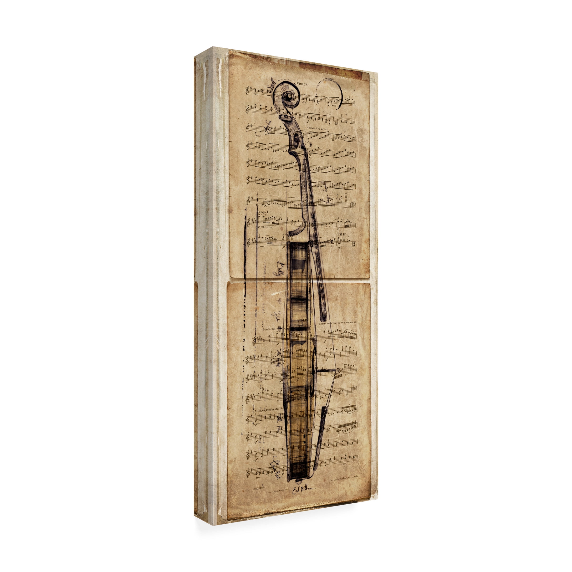 Symposium Design 'Violin Music' Canvas Art
