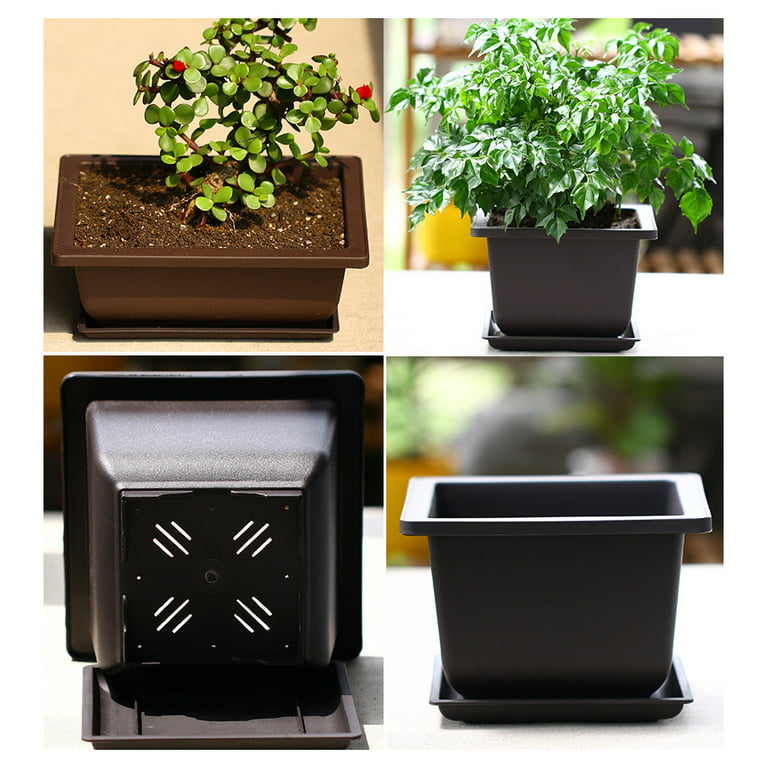 Round Bonsai Planter, White Bonsai Pot With Tray, Shallow Planter, Modern  Flower Pot, Ceramic Pot, Indoor Planter, Handmade Pottery 