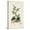 Canvas, variant on Art.com Antique Turpin Botanical III Art Print by 0 Turpin, 12" x 18"