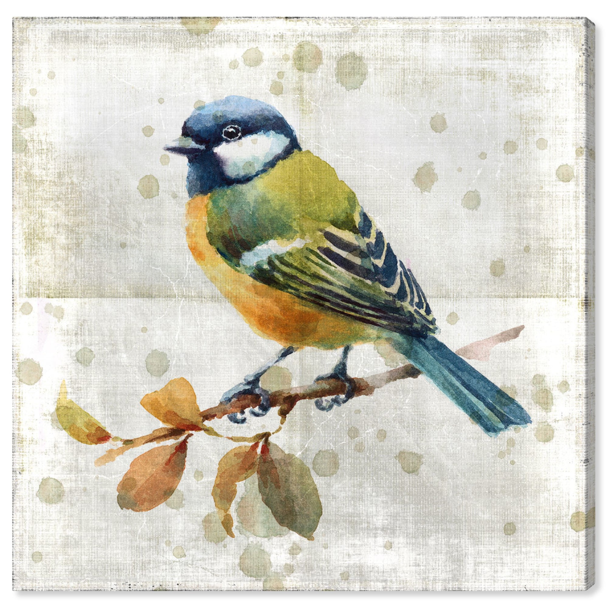 Runway Avenue Animals Wall Art Canvas Prints Blue Bird Birds Blue